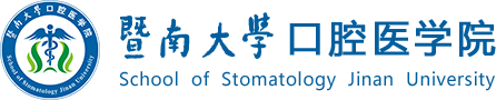 3044永利集团